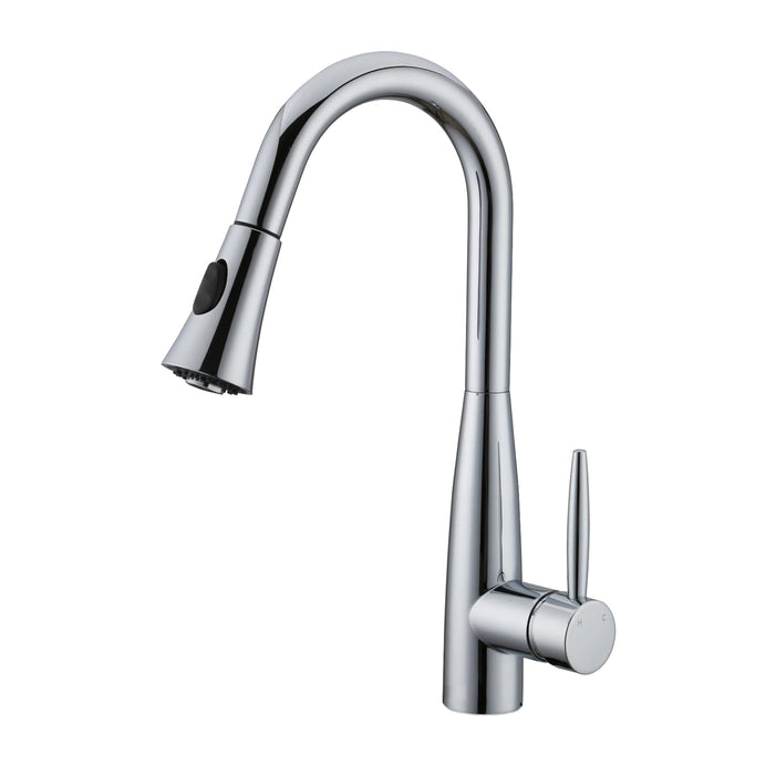 DAVISON PULL-DOWN DUAL SPRAY KITCHEN FAUCET