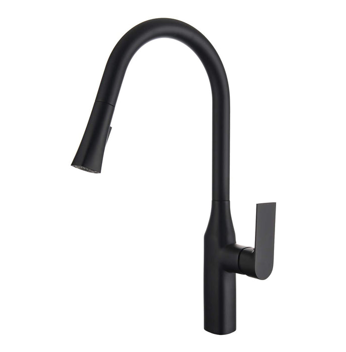 TIMELYSS PULL-DOWN DUAL SPRAY KITCHEN FAUCET