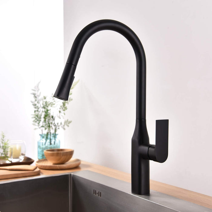 TIMELYSS PULL-DOWN DUAL SPRAY KITCHEN FAUCET