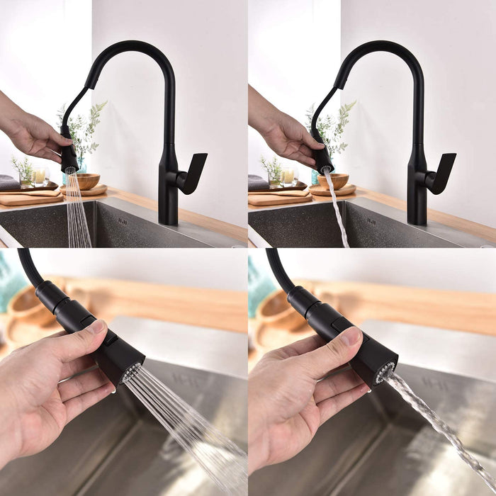 TIMELYSS PULL-DOWN DUAL SPRAY KITCHEN FAUCET