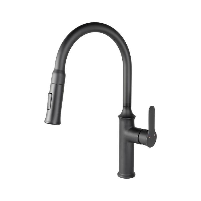 VUITTON PULL-DOWN DUAL SPRAY KITCHEN FAUCET