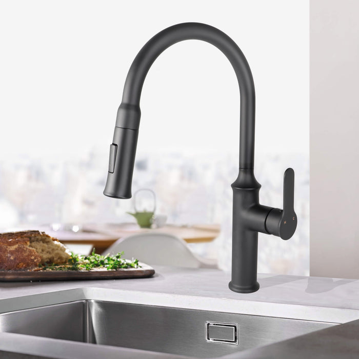 VUITTON PULL-DOWN DUAL SPRAY KITCHEN FAUCET